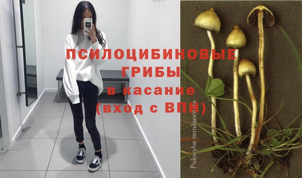PSILOCYBIN Магас