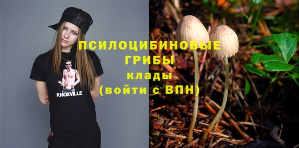 СК Лиски