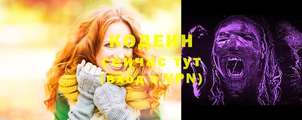 СК Лиски