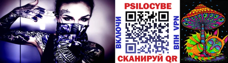 Псилоцибиновые грибы прущие грибы  Брянск 